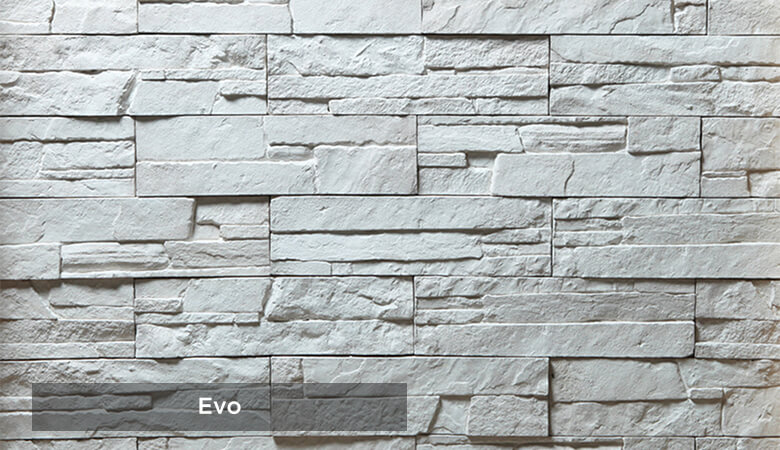 evo-kultur-tasi